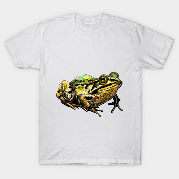 toad T-Shirt by VicaVeresk